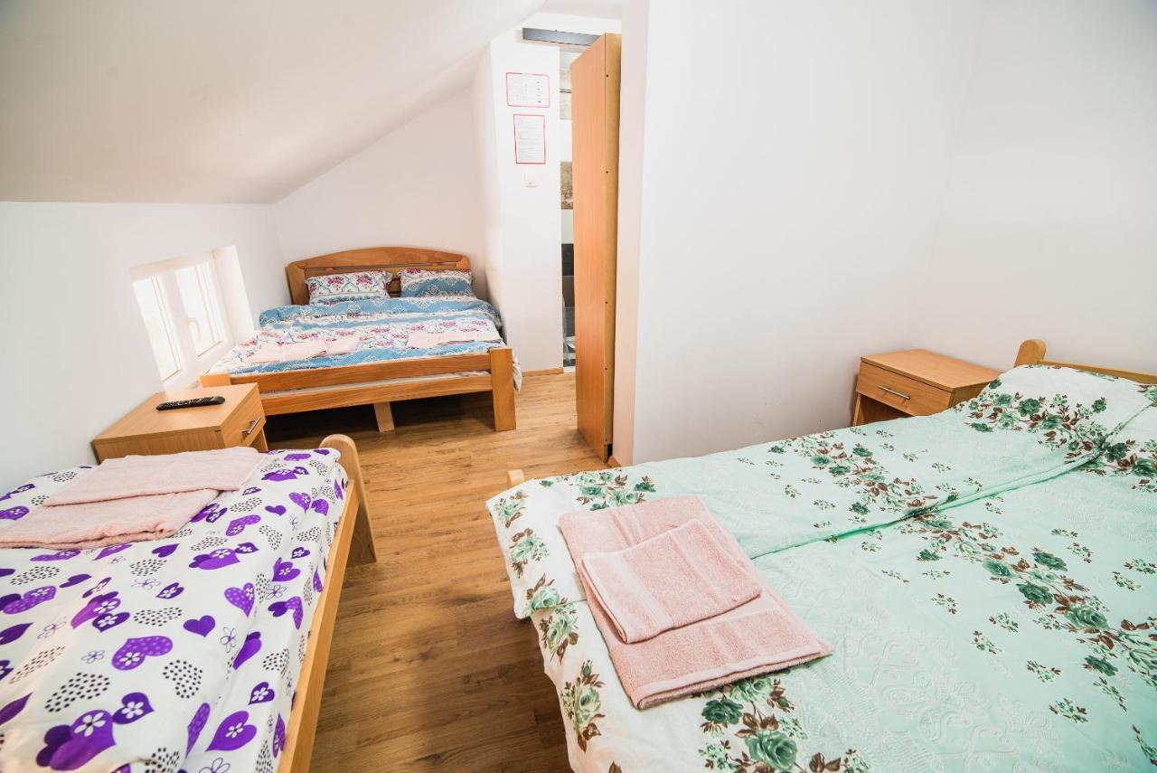 Rooms Vila Medena Brezice Exterior photo